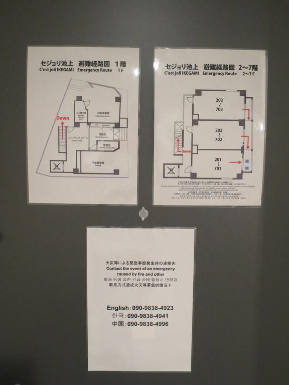 C'est Joli Ikegami Tokio